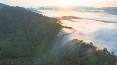 Tropikal yağmur ormanlarında dağın tepesindeki hava sisi ve