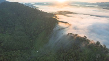 Tropikal yağmur ormanlarında dağın tepesindeki hava sisi ve