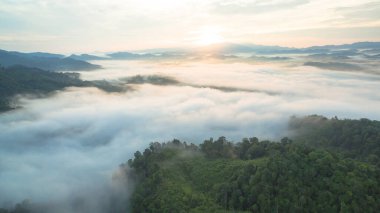 Tropikal yağmur ormanlarında dağın tepesindeki hava sisi ve