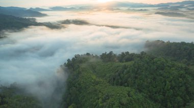 Tropikal yağmur ormanlarında dağın tepesindeki hava sisi ve