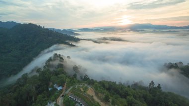Tropikal yağmur ormanlarında dağın tepesindeki hava sisi ve