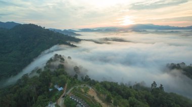 Tropikal yağmur ormanlarında dağın tepesindeki hava sisi ve