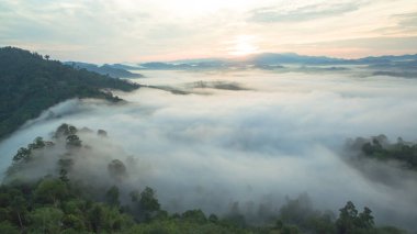 Tropikal yağmur ormanlarında dağın tepesindeki hava sisi ve