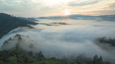 Tropikal yağmur ormanlarında dağın tepesindeki hava sisi ve