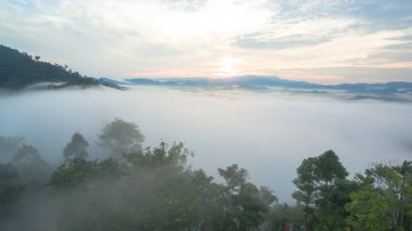 Tropikal yağmur ormanlarında dağın tepesindeki hava sisi ve