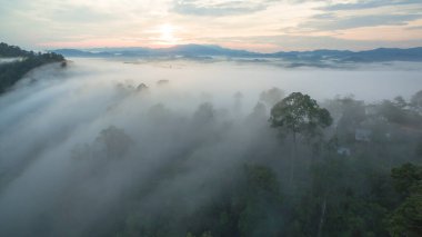 Tropikal yağmur ormanlarında dağın tepesindeki hava sisi ve