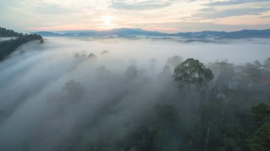 Tropikal yağmur ormanlarında dağın tepesindeki hava sisi ve