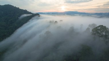 Tropikal yağmur ormanlarında dağın tepesindeki hava sisi ve