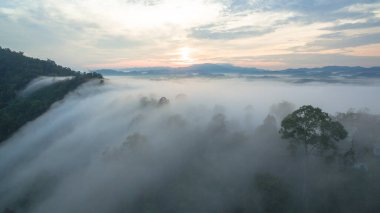 Tropikal yağmur ormanlarında dağın tepesindeki hava sisi ve