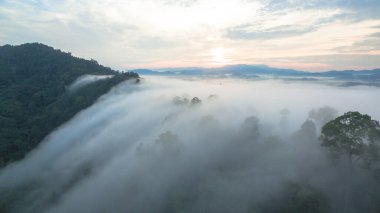 Tropikal yağmur ormanlarında dağın tepesindeki hava sisi ve