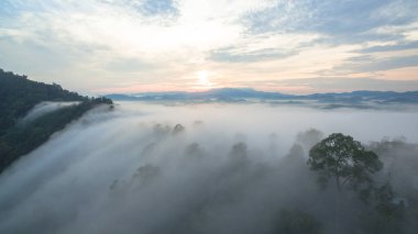 Tropikal yağmur ormanlarında dağın tepesindeki hava sisi ve