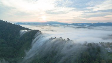 Tropikal yağmur ormanlarında dağın tepesindeki hava sisi ve