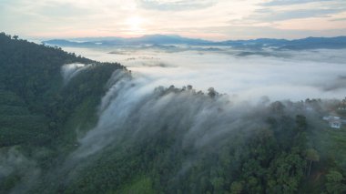 Tropikal yağmur ormanlarında dağın tepesindeki hava sisi ve