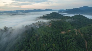 Tropikal yağmur ormanlarında dağın tepesindeki hava sisi ve