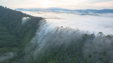Tropikal yağmur ormanlarında dağın tepesindeki hava sisi ve
