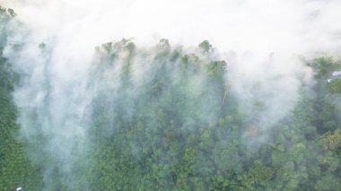 Tropikal yağmur ormanlarında dağın tepesindeki hava sisi ve