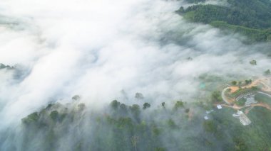 Tropikal yağmur ormanlarında dağın tepesindeki hava sisi ve