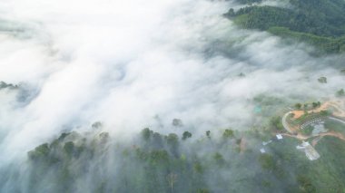 Tropikal yağmur ormanlarında dağın tepesindeki hava sisi ve