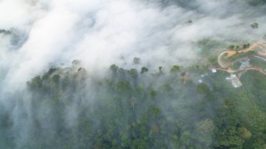 Tropikal yağmur ormanlarında dağın tepesindeki hava sisi ve