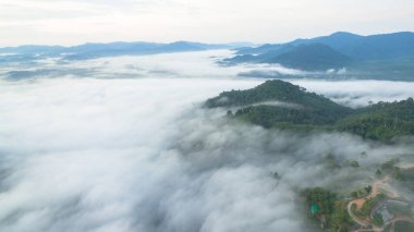 Tropikal yağmur ormanlarında dağın tepesindeki hava sisi ve