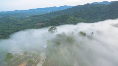 Tropikal yağmur ormanlarında dağın tepesindeki hava sisi ve
