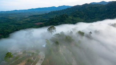 Tropikal yağmur ormanlarında dağın tepesindeki hava sisi ve
