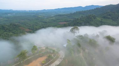 Tropikal yağmur ormanlarında dağın tepesindeki hava sisi ve