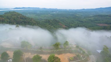 Tropikal yağmur ormanlarında dağın tepesindeki hava sisi ve