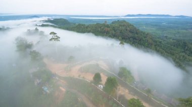 Tropikal yağmur ormanlarında dağın tepesindeki hava sisi ve