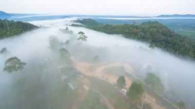 Tropikal yağmur ormanlarında dağın tepesindeki hava sisi ve