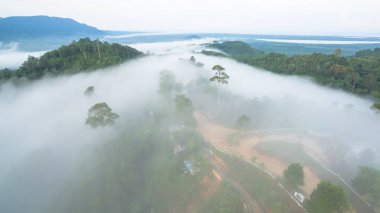 Tropikal yağmur ormanlarında dağın tepesindeki hava sisi ve