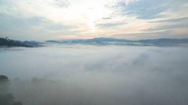 Tropikal yağmur ormanlarında dağın tepesindeki hava sisi ve