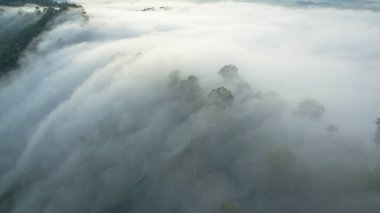 Tropikal yağmur ormanlarında dağın tepesindeki hava sisi ve