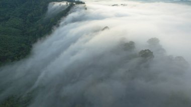 Tropikal yağmur ormanlarında dağın tepesindeki hava sisi ve