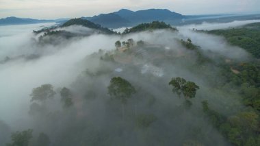 Tropikal yağmur ormanlarında dağın tepesindeki hava sisi ve