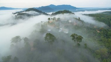 Tropikal yağmur ormanlarında dağın tepesindeki hava sisi ve