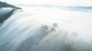 Tropikal yağmur ormanlarında dağın tepesindeki hava sisi ve