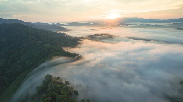 Lotu Ptaka Mgła Nad Górą Tropikalnym Lesie Deszczowym — Zdjęcie stockowe