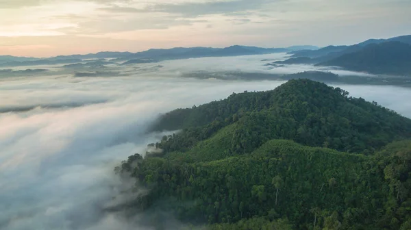 Niebla Vista Aérea Sobre Montaña Selva Tropical — Foto de Stock