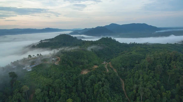 Niebla Vista Aérea Sobre Montaña Selva Tropical — Foto de Stock