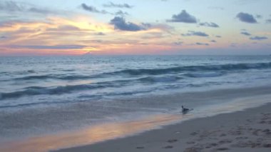 Güzel günbatımı gökyüzü, doğa arka plan 