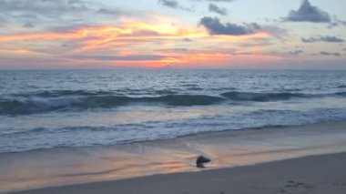Denizin üzerinde gün batımı. Akşamın batışı sahilde.
