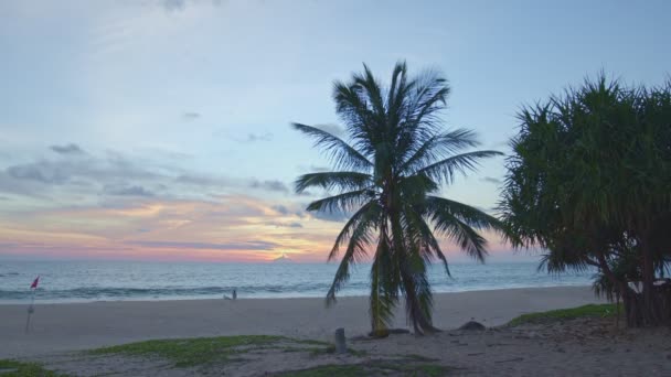 Puesta Sol Sobre Mar Cocoteros Destacan Playa — Vídeos de Stock