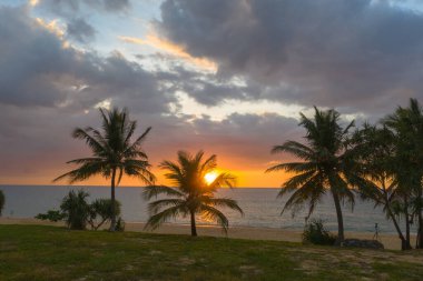 Hindistan cevizi ağaçlarının üzerinde renkli hava manzaralı günbatımı