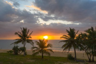 Hindistan cevizi ağaçlarının üzerinde renkli hava manzaralı günbatımı