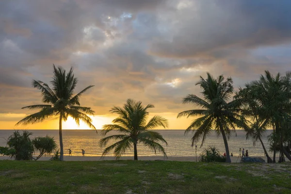 Szene Von Bunten Romantischen Himmel Sonnenuntergang Mit Kokosnüssen Sonnenuntergang Background — Stockfoto