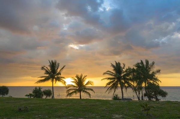 Szene Von Bunten Romantischen Himmel Sonnenuntergang Mit Kokosnüssen Sonnenuntergang Background — Stockfoto