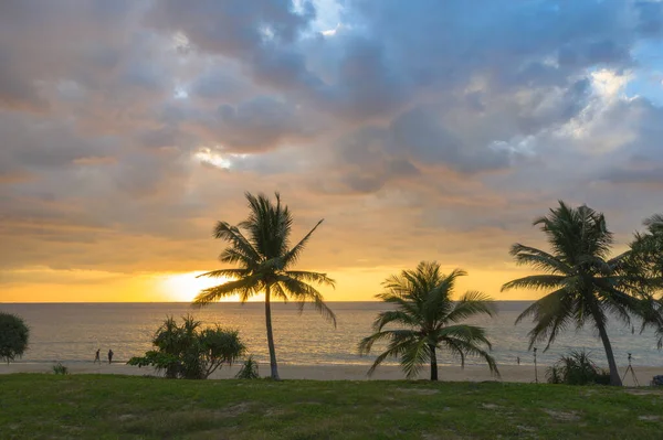 Szene Von Bunten Romantischen Himmel Sonnenuntergang Mit Kokosnüssen Sonnenuntergang Background — Stockfoto