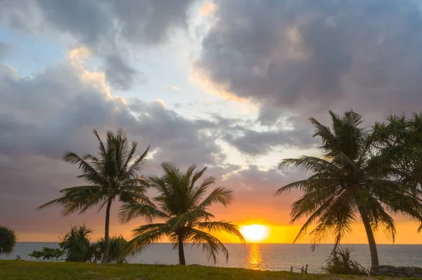 Luftaufnahme Landschaft Sonnenuntergang Über Kokospalmen Während Bunte — Stockfoto