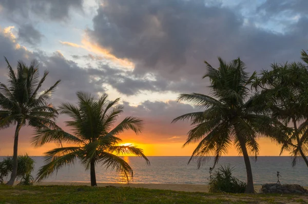 Luftaufnahme Landschaft Sonnenuntergang Über Kokospalmen Während Bunte — Stockfoto